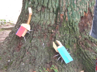20100120-DSCF0454.jpg